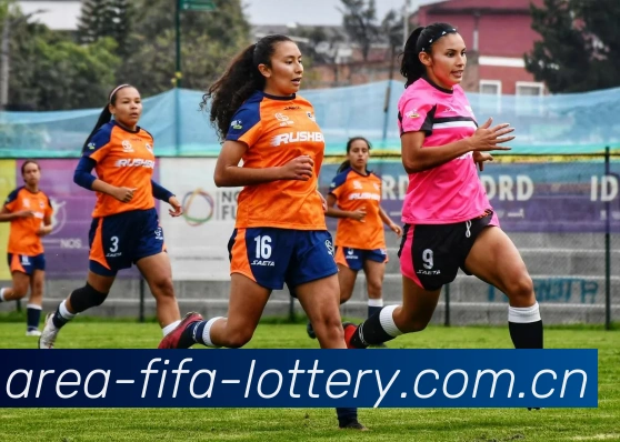 FIFA官方认证