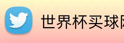 世界杯买球网 Logo